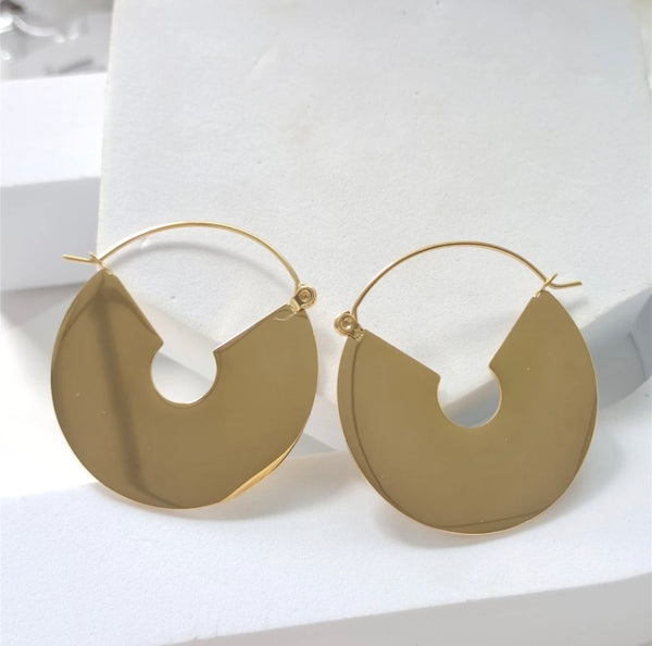 Small Gold Stainless Geometric Hoops